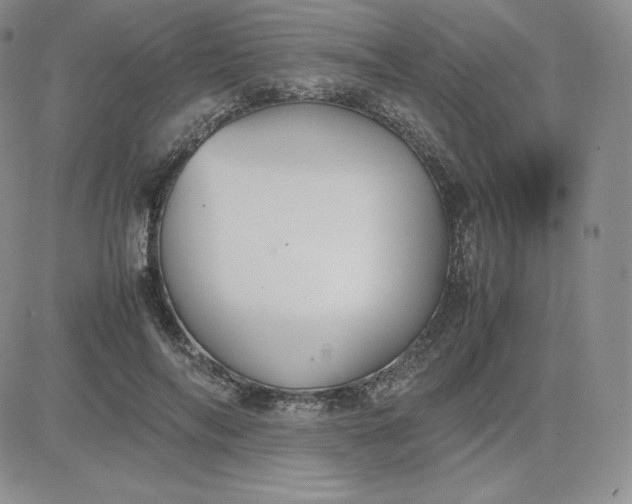 X0000081310694200701251743