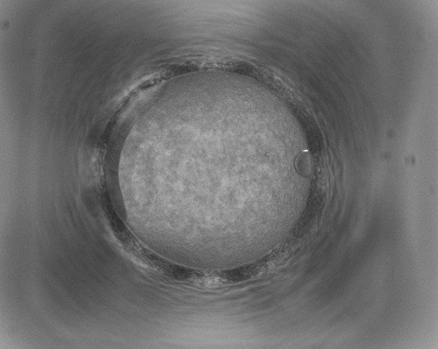 X0000081310695200701251743