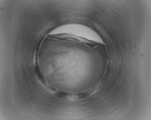 X0000081310696200701251743