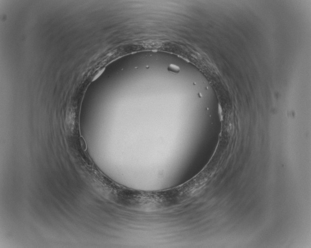 X0000081310697200701251743