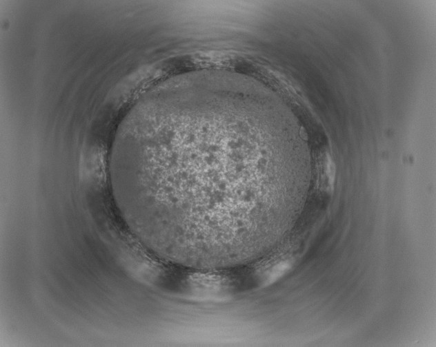 X0000081310699200701251743