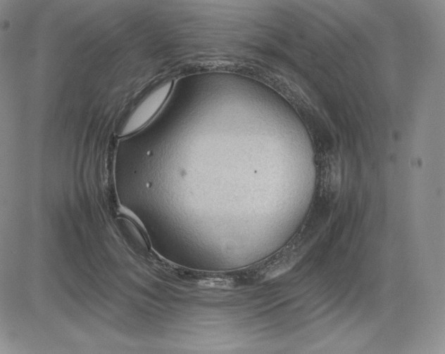 X0000081310700200701251743