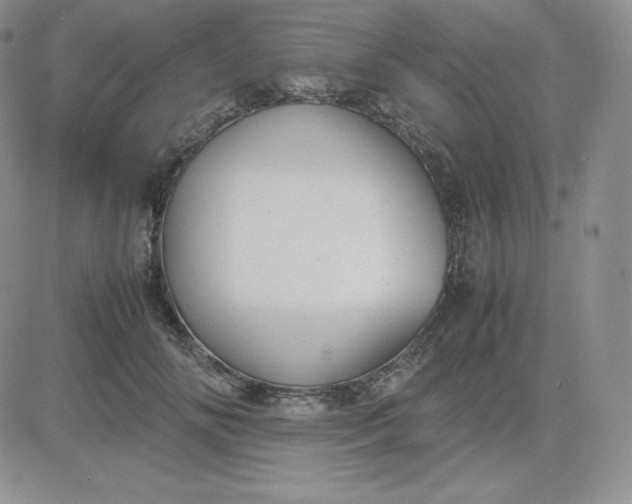 X0000081310702200701251743