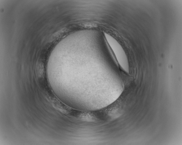 X0000081310704200701251743