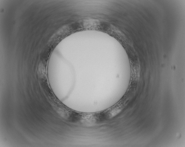 X0000081310705200701251743