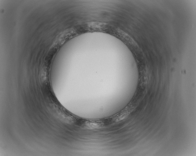 X0000081310706200701251743