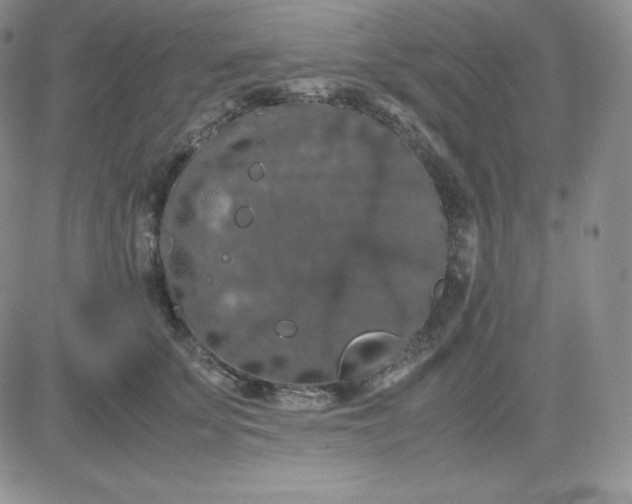 X0000081310707200701251743