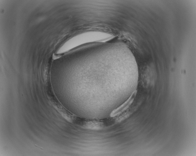 X0000081310708200701251743