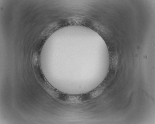 X0000081310709200701251743