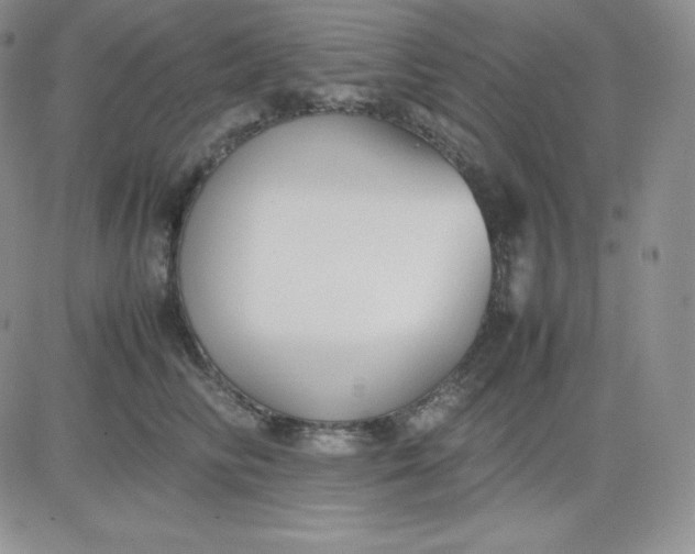 X0000081310710200701251743