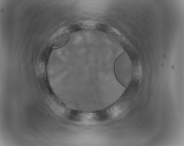 X0000081310711200701251743