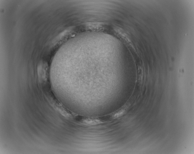 X0000081310712200701251743