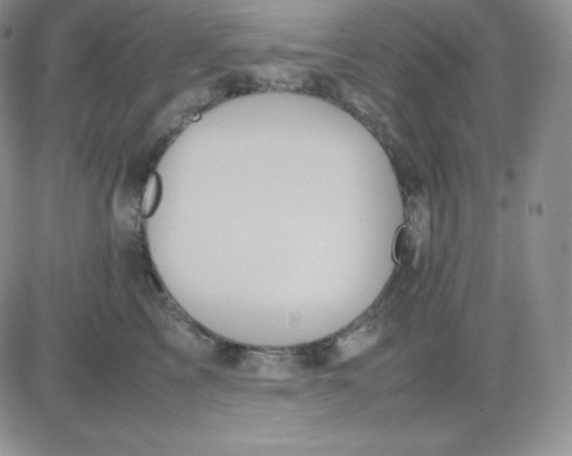 X0000081310713200701251743