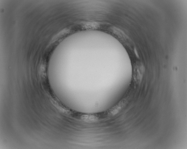 X0000081310714200701251743