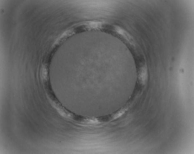 X0000081310715200701251743