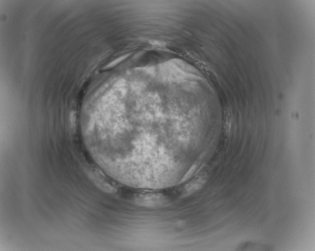 X0000081310716200701251743