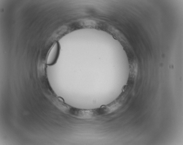 X0000081310717200701251743