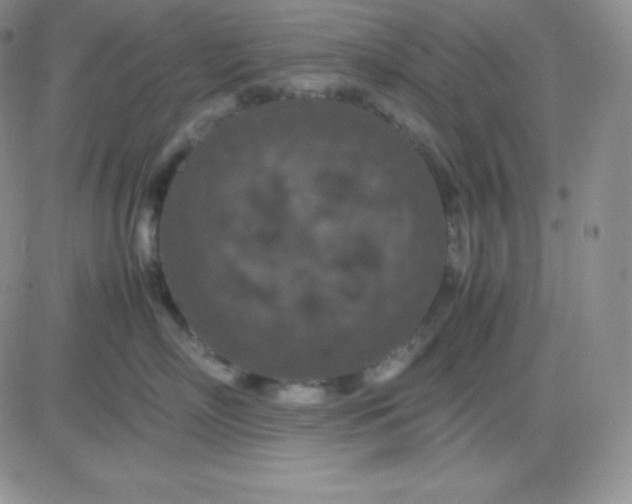 X0000081310718200701251743