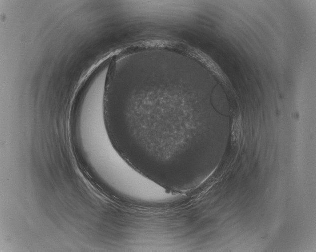 X0000081310722200701251742