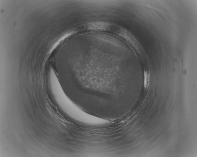 X0000081310723200701251742