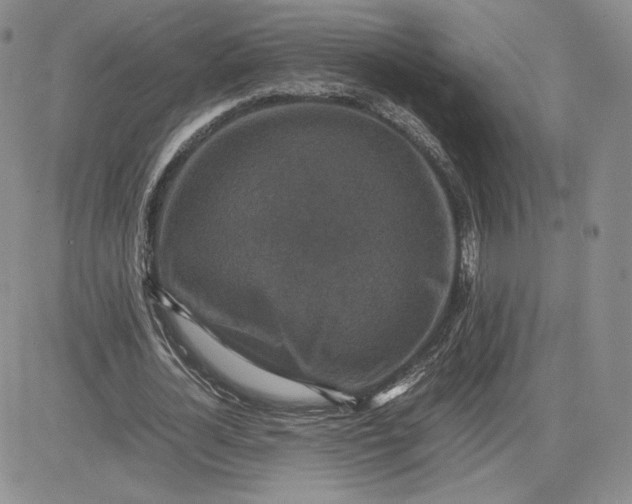 X0000081310724200701251742