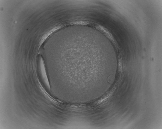 X0000081310725200701251742