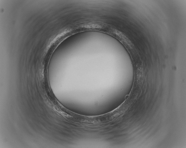 X0000081310727200701251742