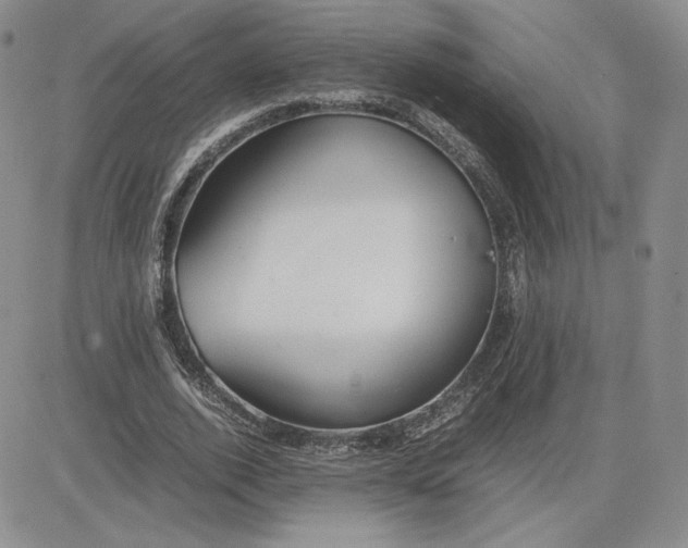 X0000081310728200701251742