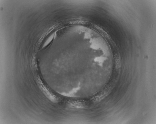 X0000081310729200701251742