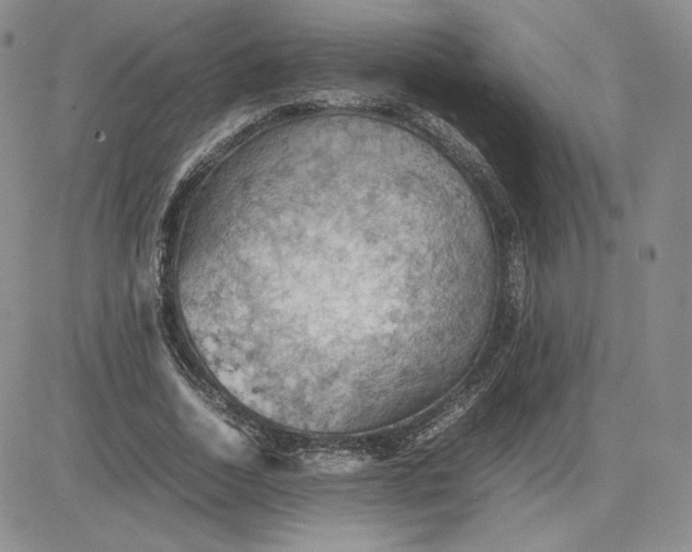 X0000081310730200701251742