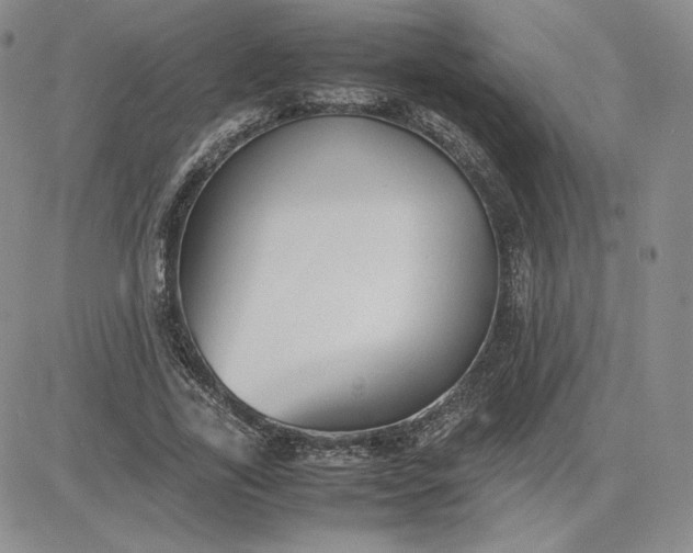 X0000081310731200701251742