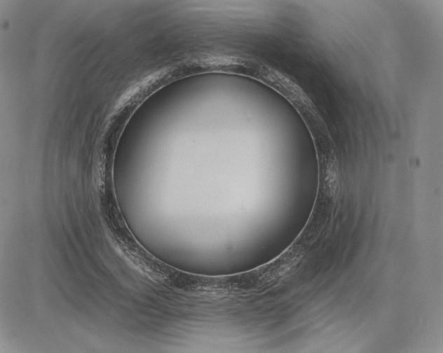 X0000081310732200701251742