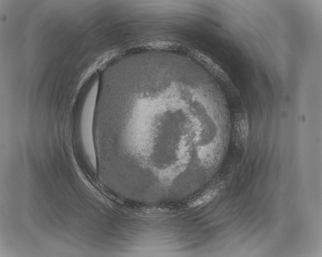 X0000081310734200701251742