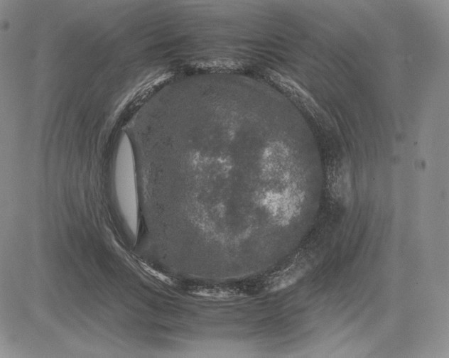 X0000081310735200701251742