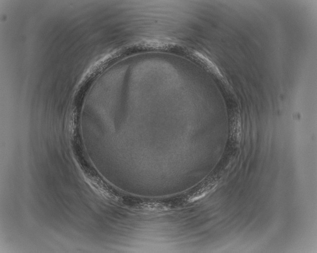 X0000081310736200701251742