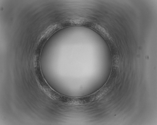 X0000081310738200701251742