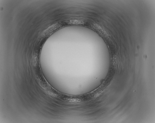 X0000081310741200701251742