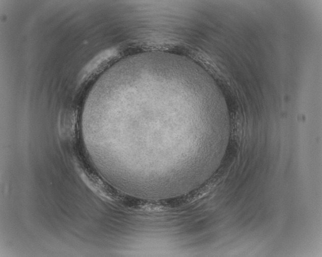 X0000081310742200701251742