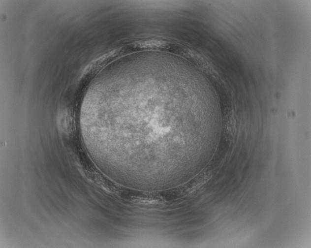 X0000081310743200701251742