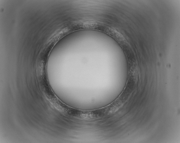 X0000081310744200701251742