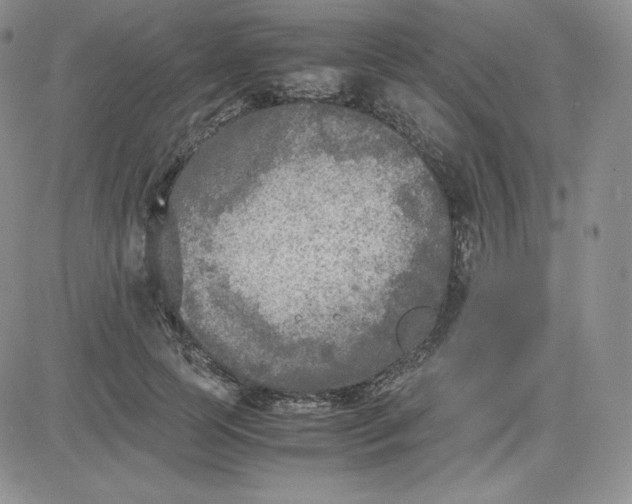 X0000081310745200701251742