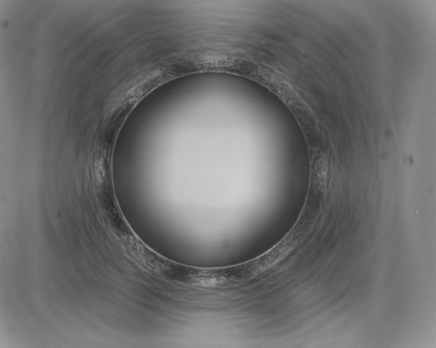 X0000081310746200701251742