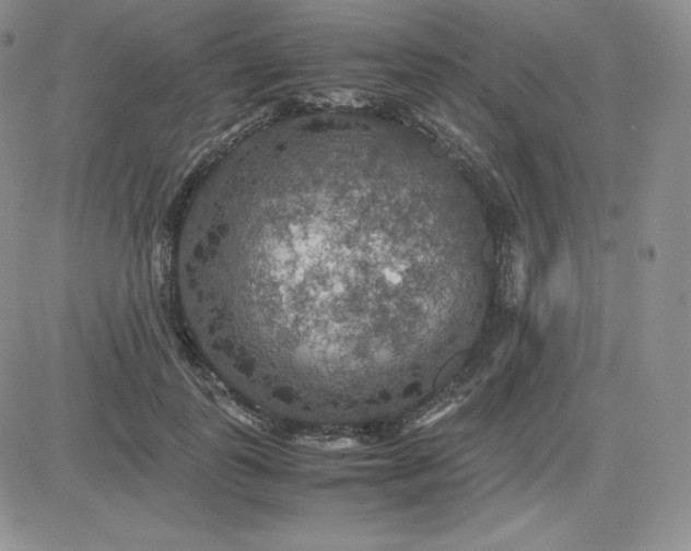 X0000081310747200701251742