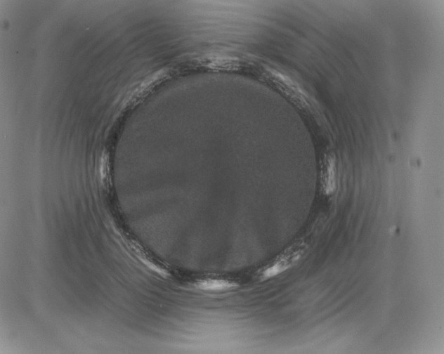 X0000081310748200701251742