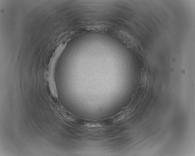 X0000081310749200701251742