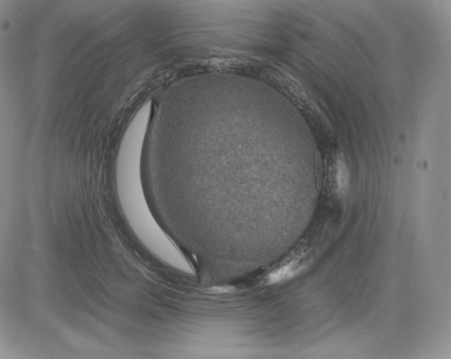 X0000081310750200701251742