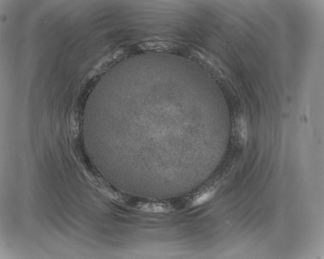 X0000081310751200701251742