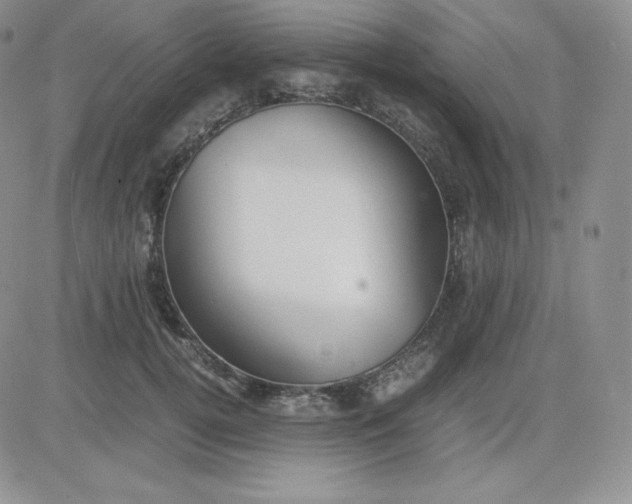 X0000081310752200701251742