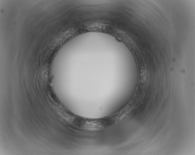 X0000081310753200701251742