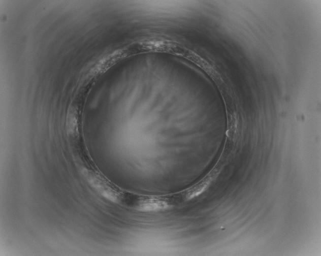 X0000081310754200701251742